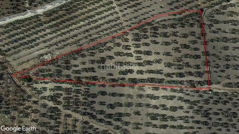 Foto 055ffe4c-ee59-42f7-be2d-be67fb4e1b37. Finca rústica a Arahal