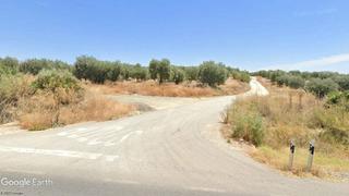 Propriété à Arahal. Finca de olivos