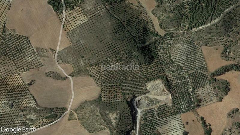 Foto 9c2185aa-885d-4ca7-8480-eb52771f7a87. Finca rústica a Morón de la Frontera