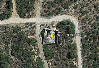 Propriété à Cabanes. Finca agrícola con cítricos abandonados