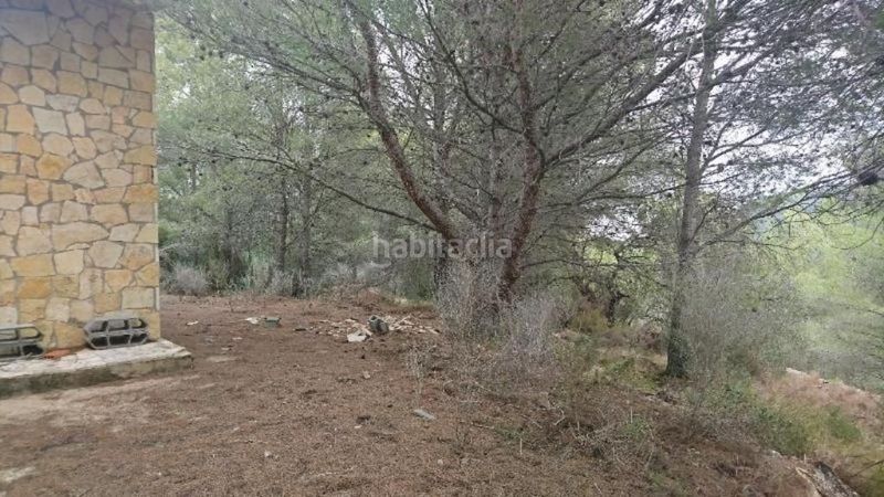 Foto 128b6c02-9966-4b87-b317-71ceae80376a. Finca rústica a Cabanes