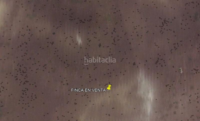 Foto 300fb55e-f8d7-4055-aace-b9c6c38674f1. Finca rústica a Centro Puerto de Santa María (El)