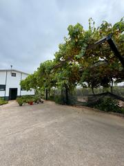 Mas à Cantillana. Parcela rustica con nave y vivienda interior localidad de cantil