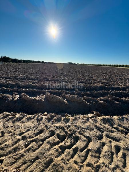 Foto 010dfd4d-b0ab-4414-be02-d6a5685b1315. Fondo rustico in n/a in Cantillana