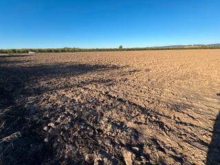 Propriété à N/a. Parcela rustica de 1,6 hectáreas en zona de la vega – termino de