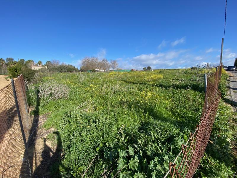 Foto 162b0a6b-1fa5-4e57-aa36-346cd25fa539. Finca rústica parcela rustica de recreo en termino de alcolea del rio (sevilla) 2500 metros en Alcolea del Río