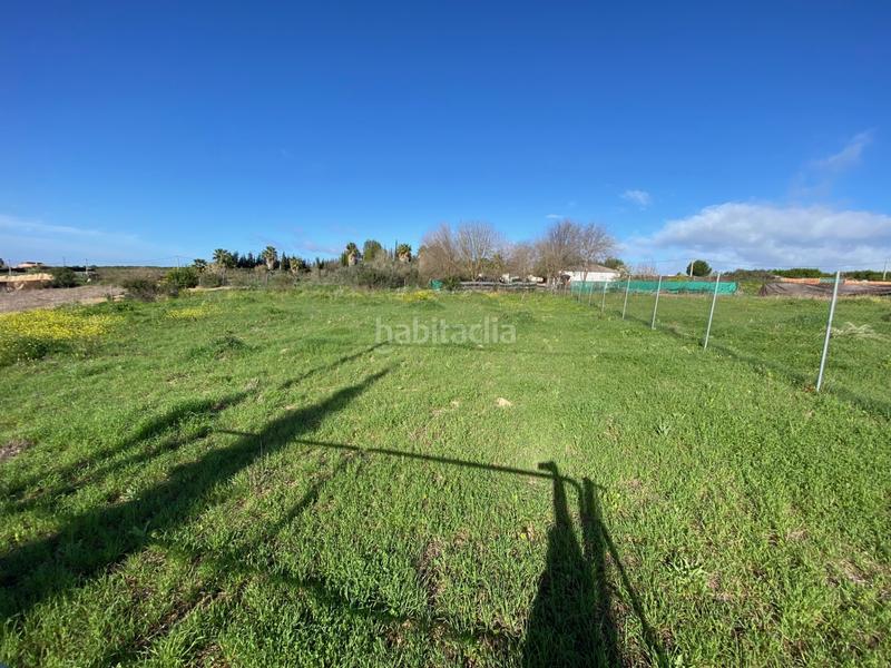 Foto 451850d6-efaa-4b31-b2bf-22f512598a17. Finca rústica parcela rustica de recreo en termino de alcolea del rio (sevilla) 2500 metros en Alcolea del Río