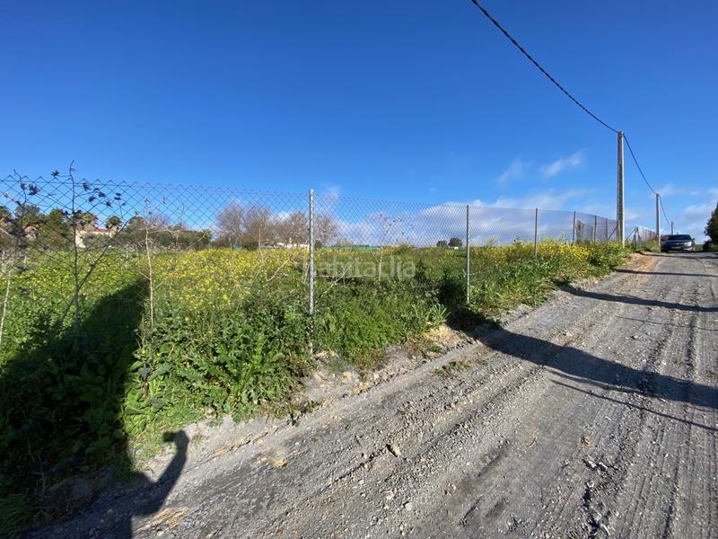 Foto 5b5ac560-80e2-48a4-975b-ce935913f798. Finca rústica parcela rustica de recreo en termino de alcolea del rio (sevilla) 2500 metros en Alcolea del Río