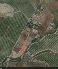 Finca rústica a Alcolea del Río