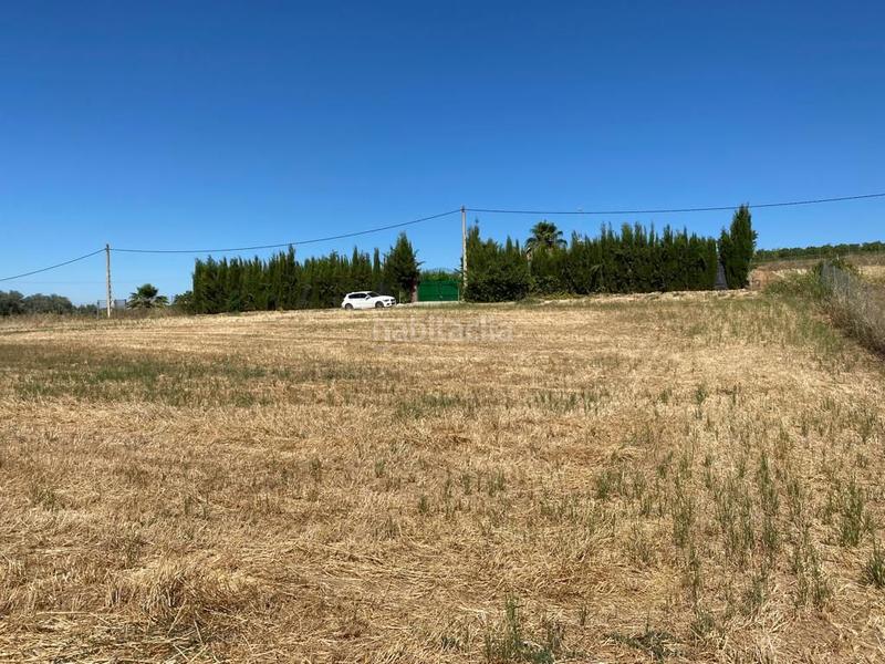 Foto 3b68ea0f-ae9f-458d-b054-c81f5cf2cbc5. Finca rústica en Alcolea del Río