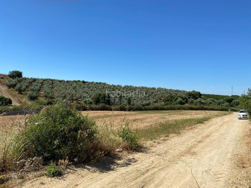 Foto 5464ebf0-415c-41f6-9c72-f0a95c5293b5. Finca rústica en Alcolea del Río