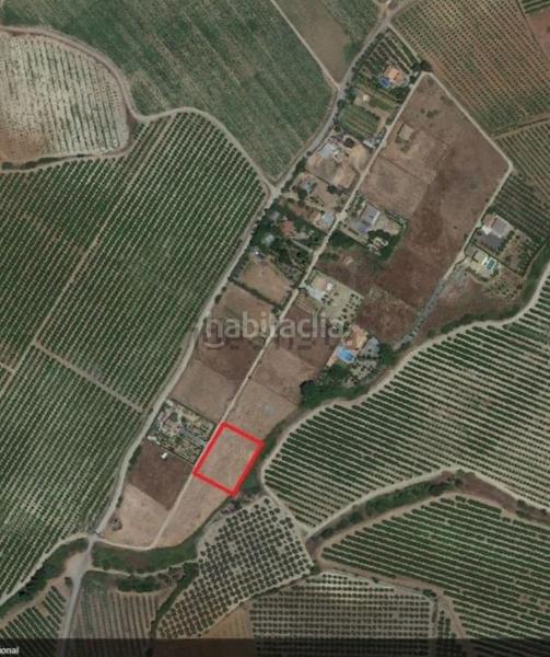 Foto a9dc6345-5e84-43b4-8b1c-58a5a433ef1b. Finca rústica en Alcolea del Río