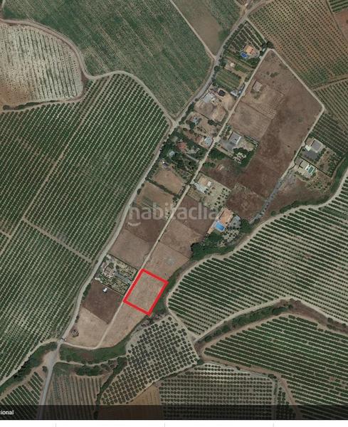 Foto f7622968-2608-482d-b6e0-2d98dc287821. Finca rústica en Alcolea del Río