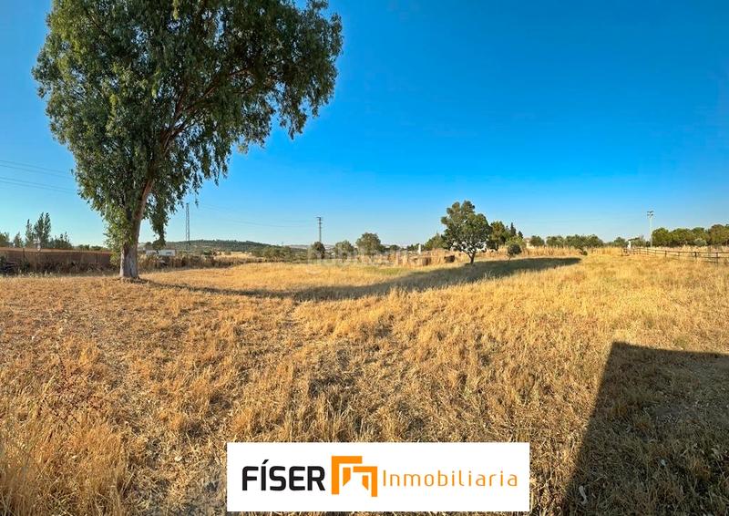 Foto 4aefa440-3075-4754-be84-581194dd9fa4. Finca rústica en Zafra