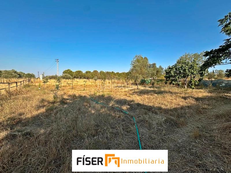 Foto b2a58f26-abdb-41be-9e4b-3e32c39cc189. Finca rústica en Zafra