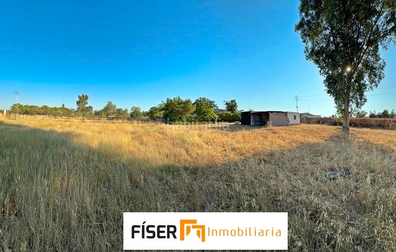 Foto e8fd1b32-acc8-4343-9be4-de6c5d4a103e. Finca rústica en Zafra
