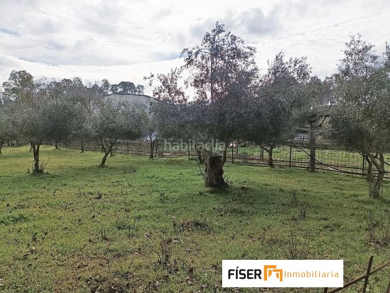 Foto a4fcb050-fbb5-48fe-bb62-1db8522832be. Propriété dans Zafra