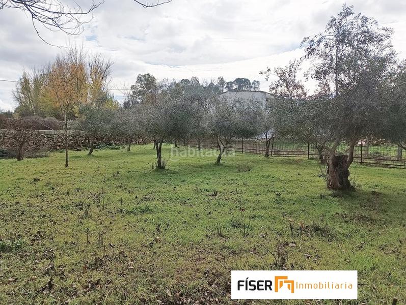 Foto efdc6a5f-cac4-42fa-9d9a-830c7c15ffd2. Propriété dans Zafra