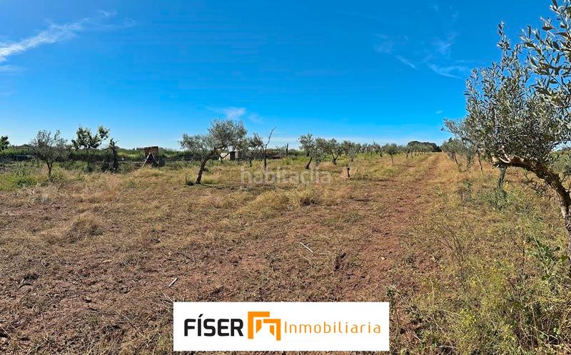 Foto b6917f80-3646-4586-ab11-73e43e6d3f0c. Finca rústica a Puebla de Sancho Pérez