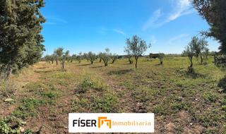 Rural plot in Puebla de Sancho Pérez