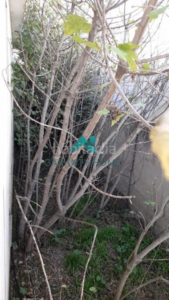 Foto 35766f86-946f-4cff-aa47-62520902c75b. Bâtiment à usage industriel dans Navas del Selpillar Lucena