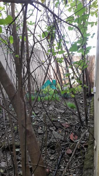 Foto 4e68e213-416b-4077-83e5-d77d37b8adb8. Bâtiment à usage industriel dans Navas del Selpillar Lucena