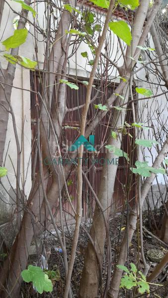 Foto 9412ba7f-23df-48a3-a9ee-df03f401e336. Bâtiment à usage industriel dans Navas del Selpillar Lucena