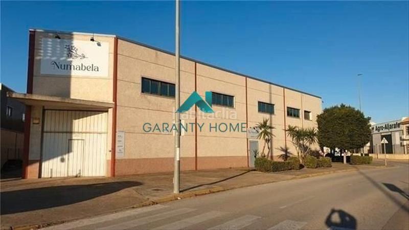 Foto cf05bf63-e327-4265-849a-e2810441a9ec. Rent industrial building in Bollullos de la Mitación