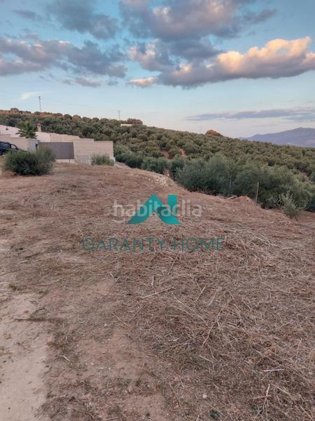 Foto 5b0e2353-5032-471d-8901-4065448e078c. Fondo rustico in Poleares Lucena