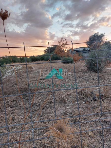 Foto 5dc9644a-6c15-42ac-8f5d-99d7ba476d46. Fondo rustico in Poleares Lucena