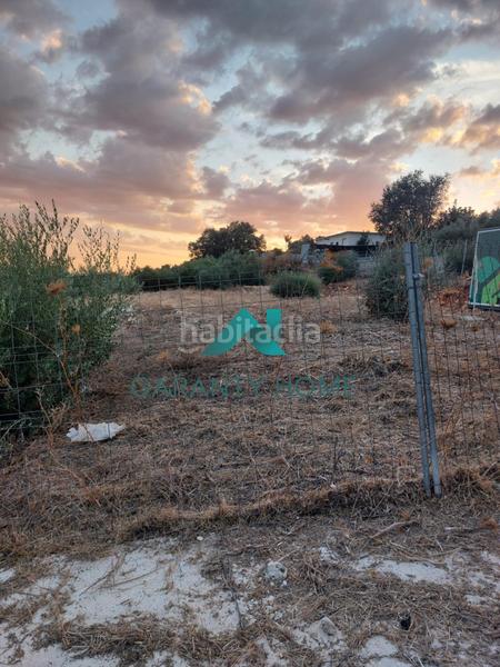 Foto a8a3b9c2-392f-46ee-938f-2ac0241f767e. Fondo rustico in Poleares Lucena