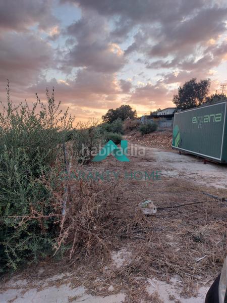 Foto b820db06-d8d2-45cb-ba13-4b29ef521819. Fondo rustico in Poleares Lucena