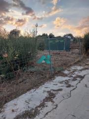 Finca rústica a Poleares. Se vende parcela rústica en lucena