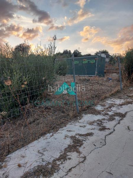 Foto c96c9698-9e43-4940-8791-08bbe3d317e8. Fondo rustico in Poleares Lucena