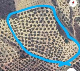 Finca rústica en Zona de la Vega. Se vende terreno en antequera