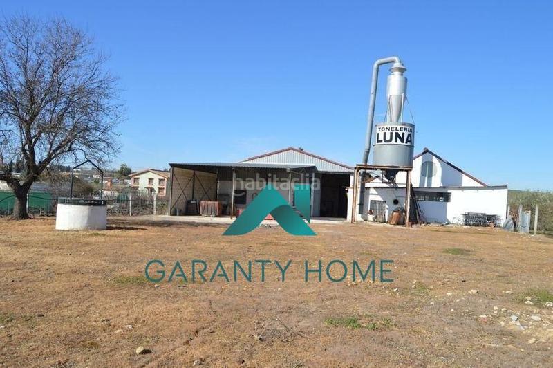 Foto 0157222f-bf3d-4b49-8ae5-d5d9f555828f. Nau industrial a Las Vegas - Campoaras Lucena