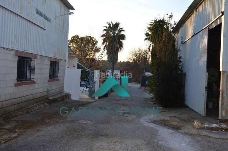 Foto cc76973c-5a98-4d84-8592-7e7c6b1769b2. Nau industrial a Las Vegas - Campoaras Lucena