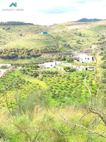 Foto 116a6aa7-8be6-4df7-b073-5a4decdf2a9f. Masía maravillosa casa con terreno en venta en almayate alto en Vélez - Málaga