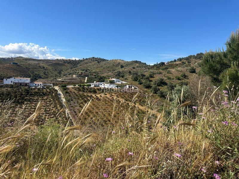 Foto 69fc5a87-9560-49cf-8ca4-22e0b5a53f46. Masía maravillosa casa con terreno en venta en almayate alto en Vélez - Málaga
