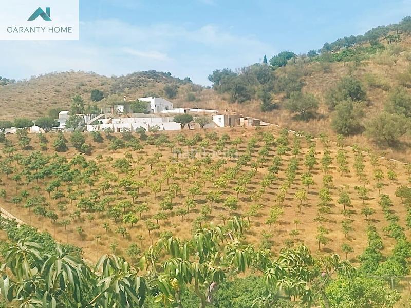 Foto 8cd7d2eb-6548-47f6-bfcc-fb6d3b834839. Masía maravillosa casa con terreno en venta en almayate alto en Vélez - Málaga