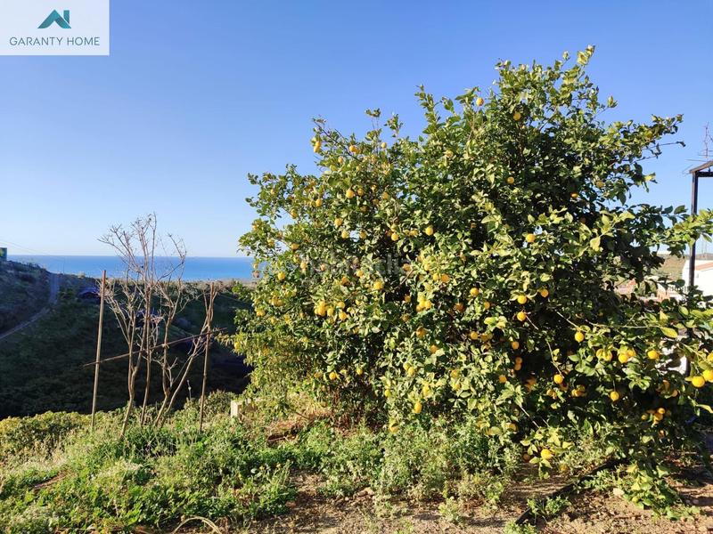 Foto a83980aa-65f4-4f47-8720-51d2b7481bd4. Masía maravillosa casa con terreno en venta en almayate alto en Vélez - Málaga