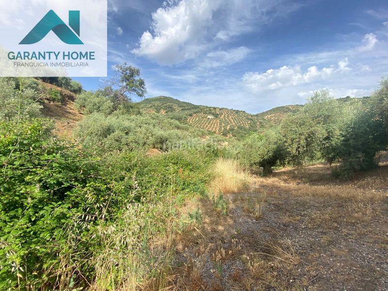 Foto 3eb191ff-7e9c-4393-a48e-8577fd9fbfe0. Masia amb aparcament piscina a Martos