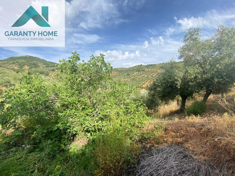 Foto 7332271d-8944-487d-95c4-0cb237ee33c1. Masia amb aparcament piscina a Martos