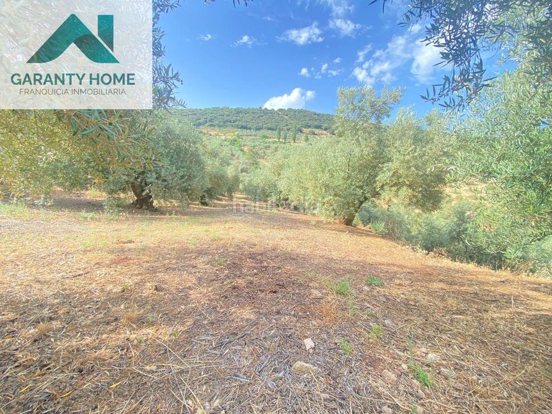 Foto 77dca388-fcf7-43d4-b846-8cc263b07aa4. Masia amb aparcament piscina a Martos