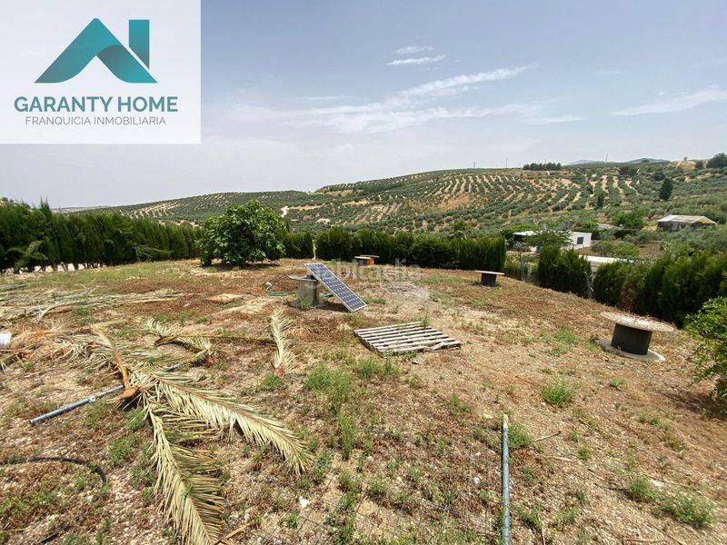 Foto f5c96989-d7ab-40d0-8a1e-20708a6c6891. Chalet finca con piscina y placas solares en Torredonjimeno