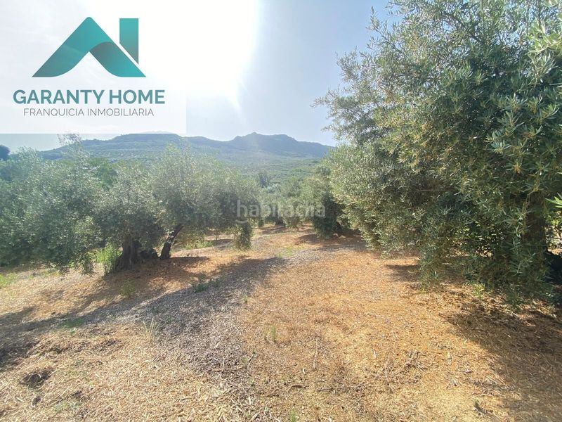 Foto c880847f-f01f-4124-ac6a-153c6b1996e5. Finca rústica a Valdepeñas de Jaén