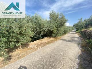 Propriété à Valdepeñas de Jaén. Fincas de olivar con nave y agua a 1km de valdepeñas de jaén