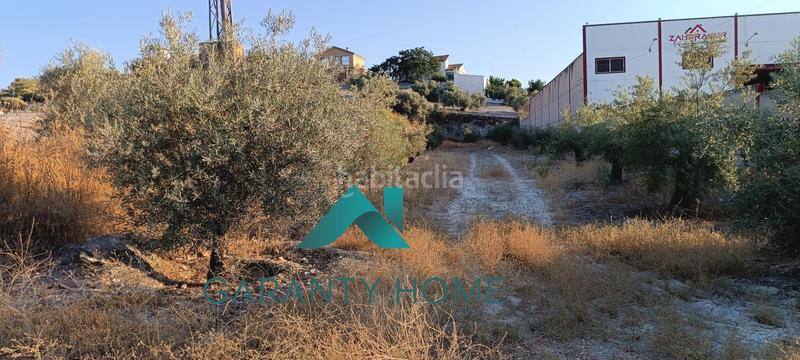 Foto 3f4a8715-1bbb-4d81-9712-6ba4d7c713c8. Terreno residencial se vende parcela en los llanos de don juan en Rute
