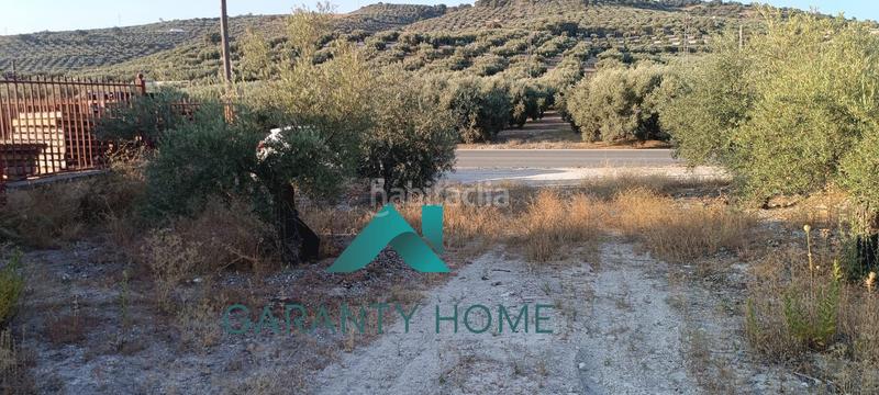 Foto 455c531a-55e0-4b4e-824d-51966427147a. Terreno residencial se vende parcela en los llanos de don juan en Rute