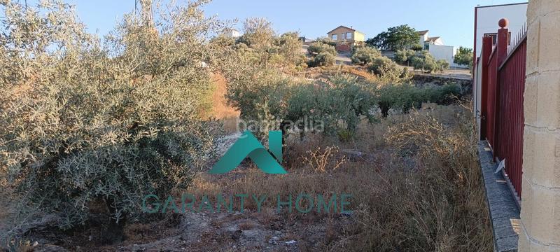 Foto 49d37a02-c9fd-4163-870d-738ac5c2ae70. Terreno residencial se vende parcela en los llanos de don juan en Rute